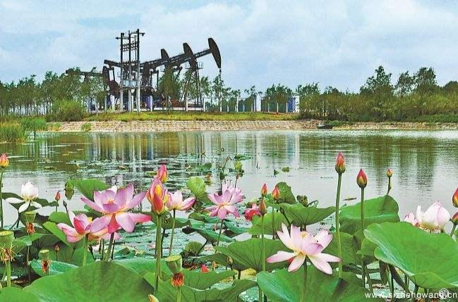 大庆油田生产作业区一角(来源:赵永安)_UUID22350 大庆油田生产作业区一角(来源:赵永安)_UUID22350