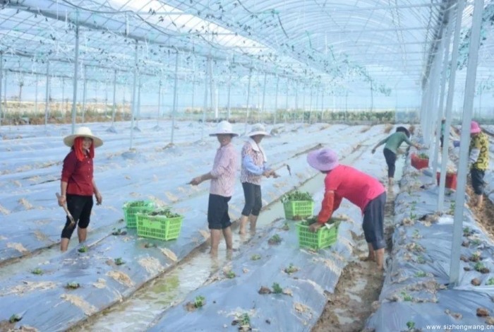 18-发展红色产业,助力脱贫攻坚(1)_UUID11357 18-发展红色产业,助力脱贫攻坚(1)_UUID11357